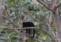 _73A8155.jpg _73A8155.jpg