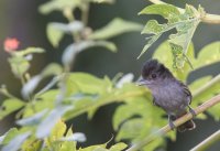 _73A8174.jpg _73A8174.jpg