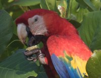 _73A8910.jpg _73A8910.jpg