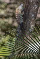 _73A8748.jpg _73A8748.jpg