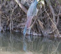 _73A8321.jpg _73A8321.jpg