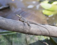 _73A8489.jpg _73A8489.jpg