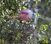 _73A8449.jpg _73A8449.jpg