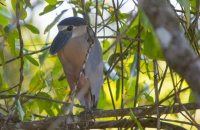 _73A8459.jpg _73A8459.jpg