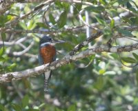 _73A8476.jpg _73A8476.jpg