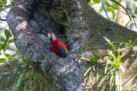 _73A8525.jpg _73A8525.jpg