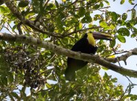 _73A8506.jpg _73A8506.jpg