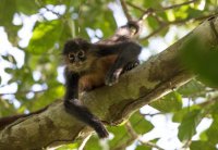 _73A8638.jpg _73A8638.jpg