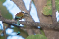 _73A8807.jpg _73A8807.jpg