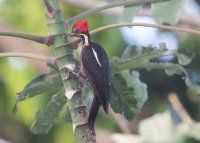 _73A8855.jpg _73A8855.jpg