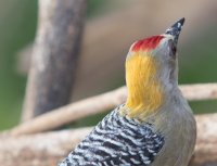 _73A8164.jpg _73A8164.jpg