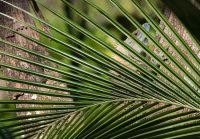 _73A8762.jpg _73A8762.jpg