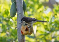 _73A8772.jpg _73A8772.jpg