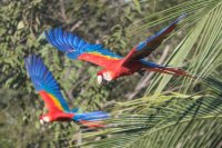 _73A8956.jpg _73A8956.jpg