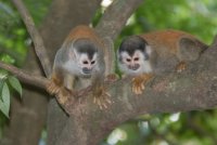 _73A9115.jpg _73A9115.jpg