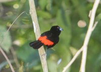 _73A9146.jpg _73A9146.jpg