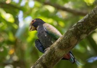 _73A9203.jpg _73A9203.jpg