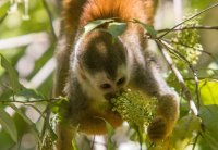 _73A9215.jpg _73A9215.jpg