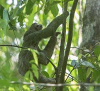 _73A9239.jpg _73A9239.jpg