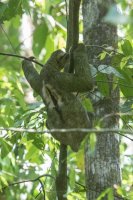 _73A9232.jpg _73A9232.jpg