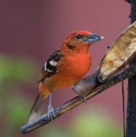 _73A9249.jpg _73A9249.jpg