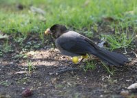 _73A9324.jpg _73A9324.jpg