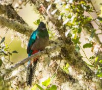 _73A9529.jpg _73A9529.jpg