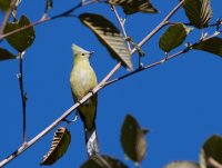 _73A9566.jpg _73A9566.jpg