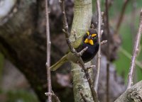 _73A9351.jpg _73A9351.jpg