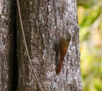 _73A9410.jpg _73A9410.jpg