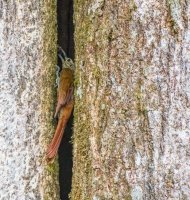 _73A9413.jpg _73A9413.jpg