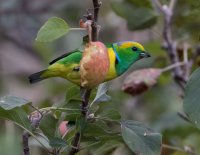 _73A9361.jpg _73A9361.jpg