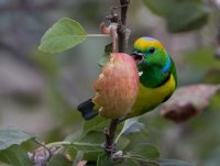 _73A9363.jpg _73A9363.jpg