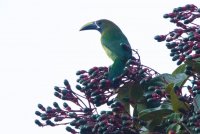 _73A9740.jpg _73A9740.jpg