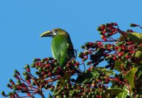 _73A9759.jpg _73A9759.jpg