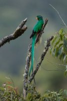 _73A9730.jpg _73A9730.jpg