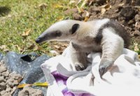 _73A9923.jpg _73A9923.jpg