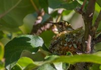 _73A9783.jpg _73A9783.jpg