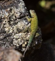 _73A9624.jpg _73A9624.jpg