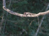 _73A8331.jpg _73A8331.jpg