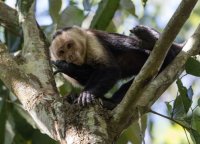 _73A8592.jpg _73A8592.jpg