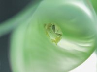 IMG_0051.jpg IMG_0051.jpg