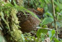 _73A9598.jpg _73A9598.jpg