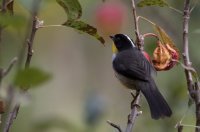 _73A9371.jpg _73A9371.jpg