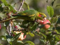 _73A9788.jpg _73A9788.jpg