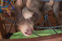 _73A9875.jpg _73A9875.jpg