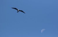 _73A8403.jpg _73A8403.jpg