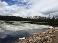 Washington Lake June 2016.jpeg