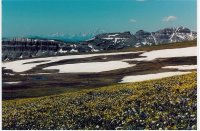 Austin Peak, Tetons July 02.jpg