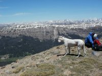 Absaroka Austin Smokey 2013.jpg